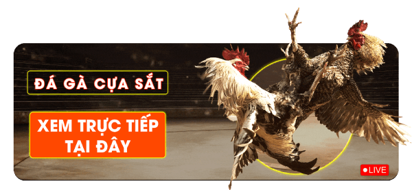 Trực tiếp Đá Gà Cựa Sắt