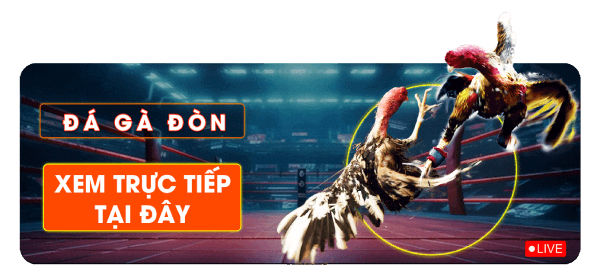 đá gà trực tiếp Đá Gà Đòn