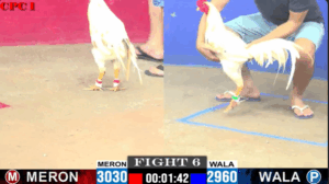 2025-07-04_15-08