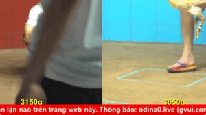 Trận 13 full video bồ gà cpc 4 ngày 08/09/2025 - Anh Nu Hồng Ngự có con Khét hiệu đẳng cấp đá đối thủ gục sau 2 phút